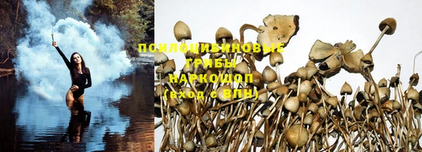 шишки Наволоки