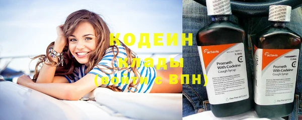 шишки Наволоки
