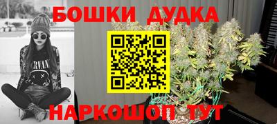 прущие грибы Аргун