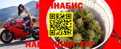 прущие грибы Аргун