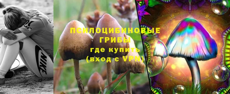 Галлюциногенные грибы Cubensis  купить наркотик  Нягань 